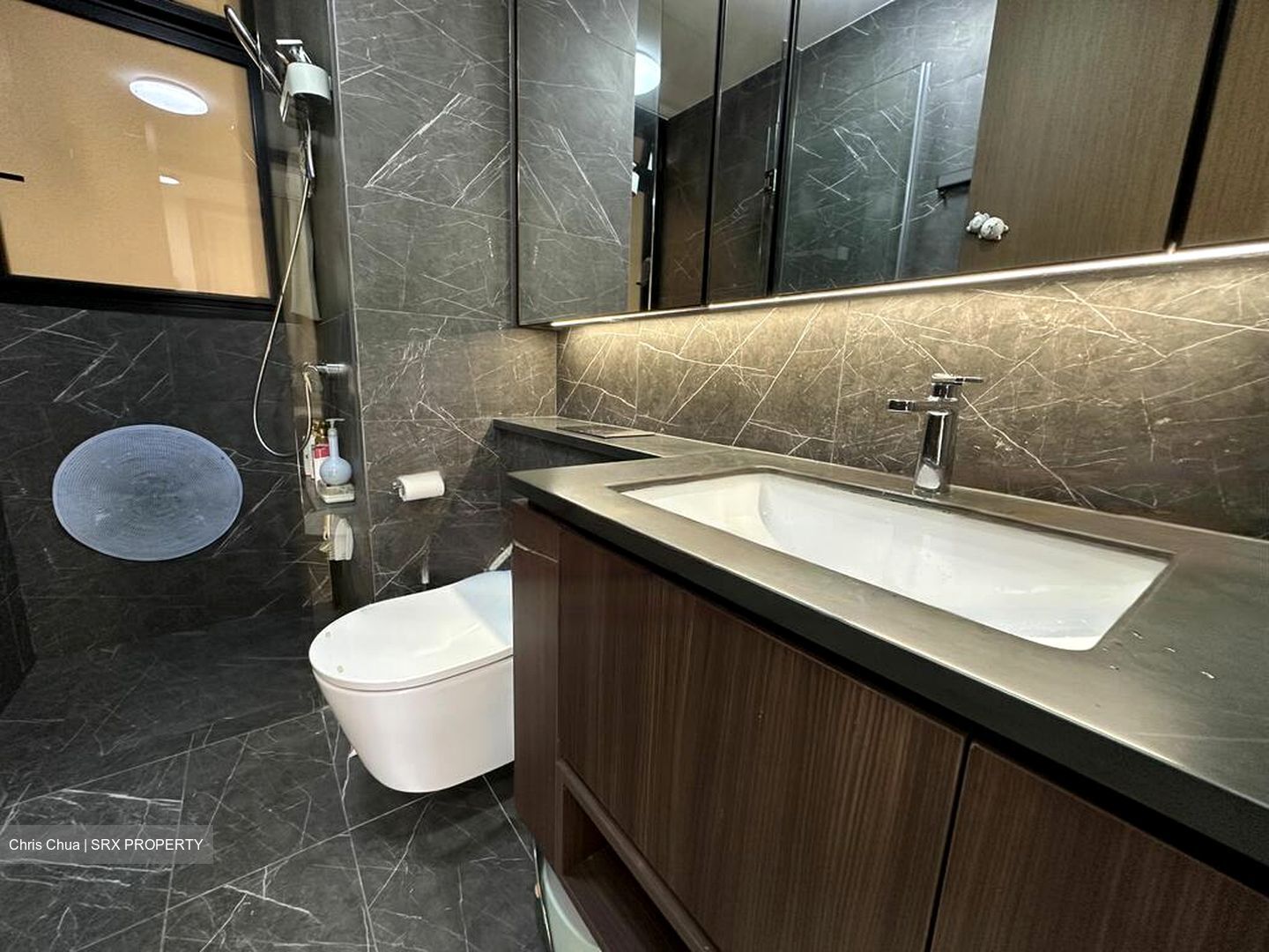 Kopar At Newton (D9), Apartment #459009591